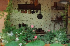 The Quiet Pleasure of the Seasonal Kitchen: Cooking with What the Garden Gives