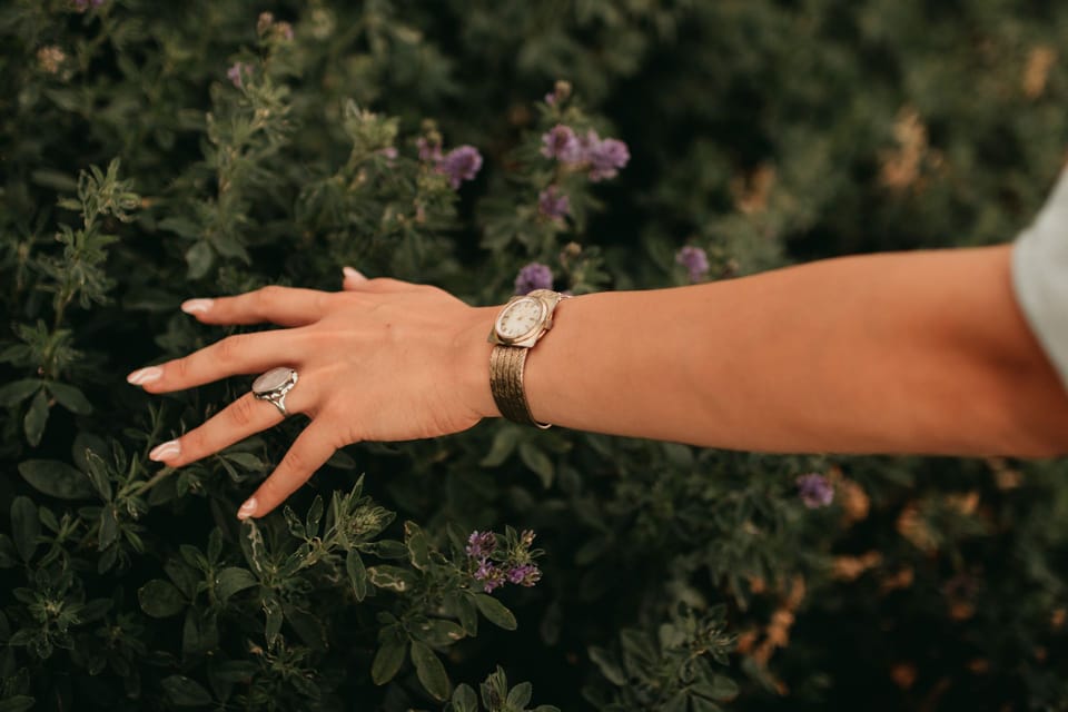 The Watch as a Companion: Why the Mechanical Timepiece Endures