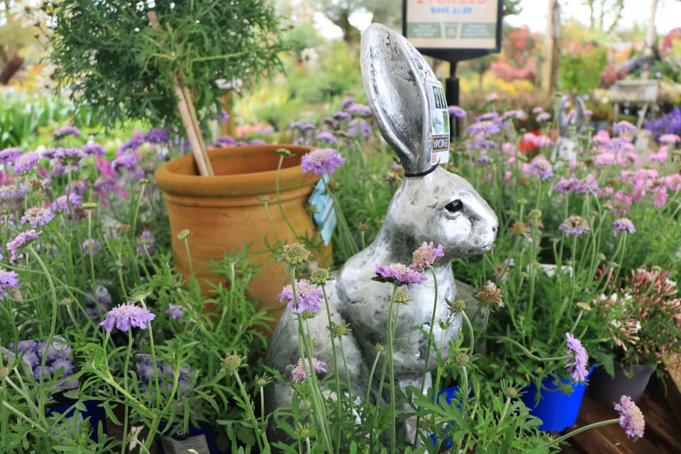 The Garden That Grew from the Soil Up: A New Nursery Takes Root in the Wye Valley