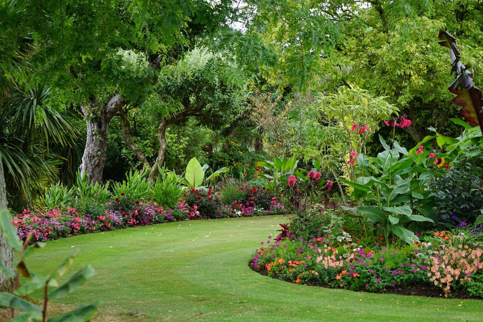 Patience in the Border: The Quiet Wisdom of a Well-Tended Garden