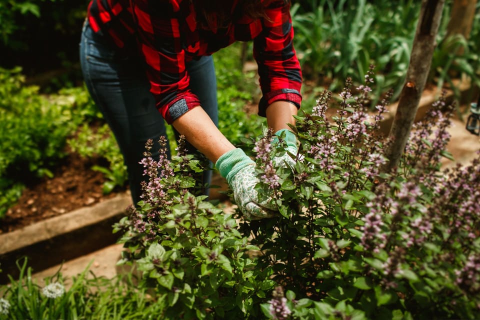 The Gardener's Wardrobe: What We Wear When We Work with the Soil