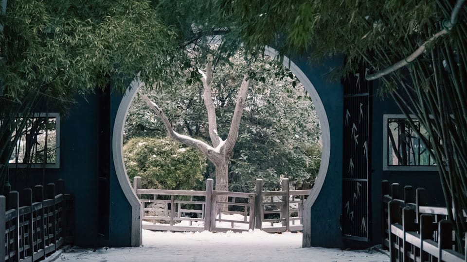 The Garden in Winter: Finding Beauty in the Bare and the Dormant