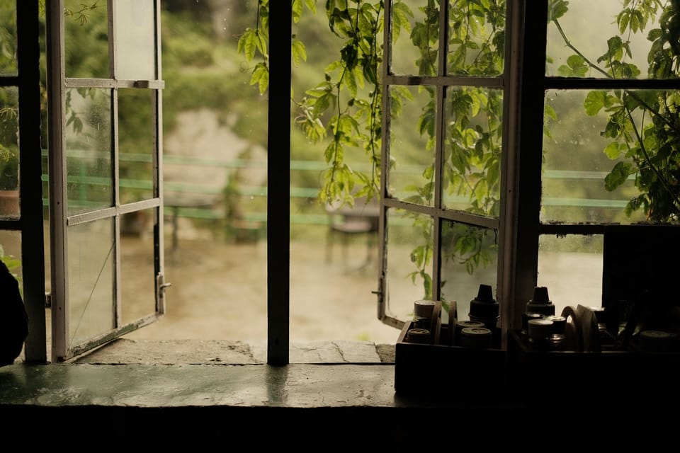 The Light That Shapes a Room: Why Natural Light Is the Unsung Hero of Interior Design